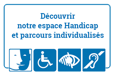 Apprentissage et handicap